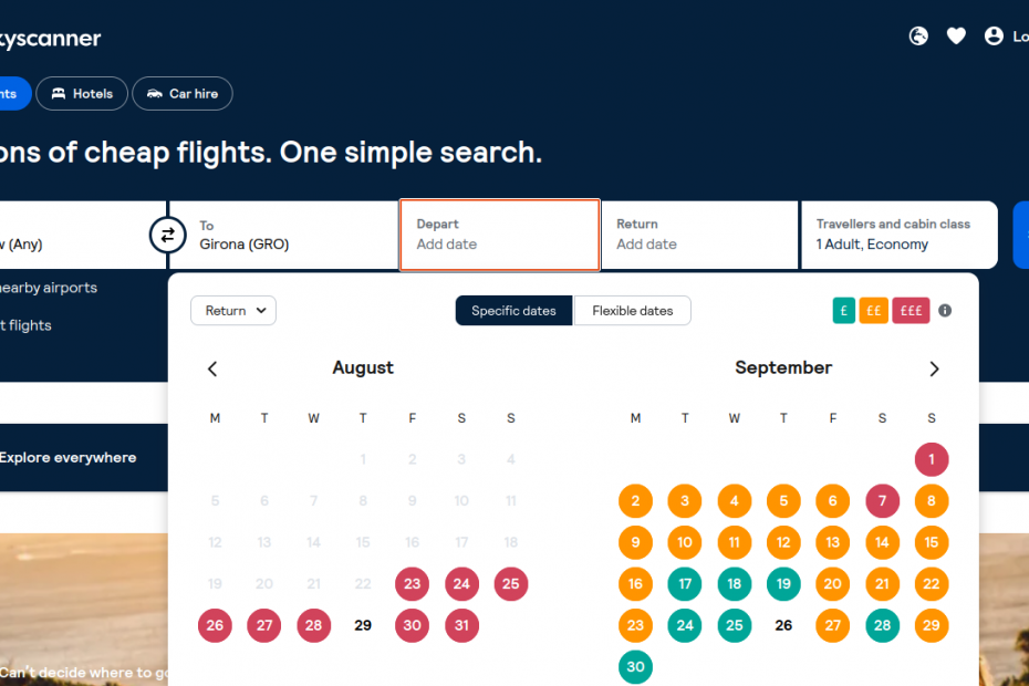Searching for a flight